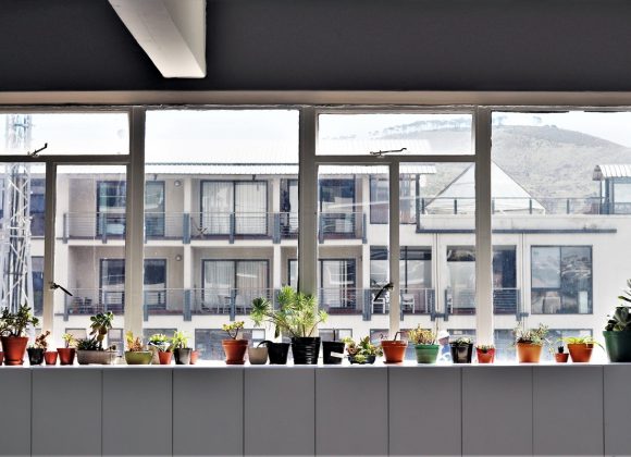 Indoor Plants and Fresh Flowers at Your Office: Is It Only About Beauty? Indoor Plants and Fresh Flowers at Your Office: Is It Only About Beauty?