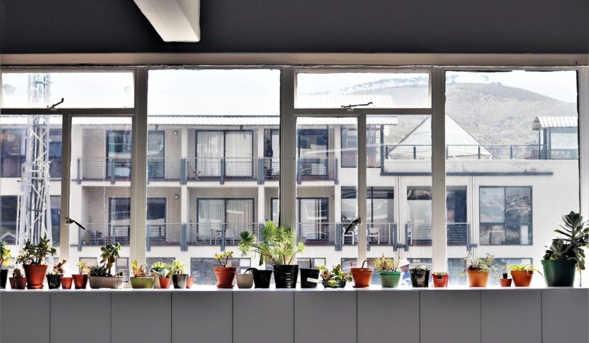 Indoor Plants and Fresh Flowers at Your Office: Is It Only About Beauty? Indoor Plants and Fresh Flowers at Your Office: Is It Only About Beauty?
